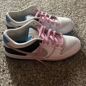 Nike SB Shoes